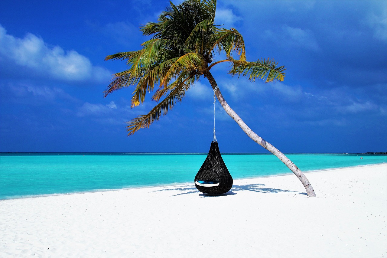 A hammock resting beneath palms beside a tropical beach